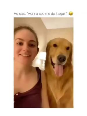 A post by @cutedogsonline on TikTok caption: #dogs 