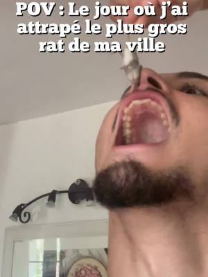 A post by @linx_pey on TikTok caption: Il est sous créatine le rat ou quoi pour être aussi big 🤣