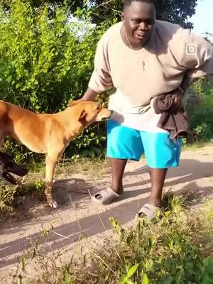 A post by @katato35 on TikTok caption: #🐶🐕 #😂😂😂😂😂 #españa🇪🇸tiktok🇪🇨ecuador #gambiantiktok🇬🇲🇬🇲🇬🇲🇬🇲🇬🇲💯💯💯 #senegalaise_tik_tok🇸🇳pourtoichallenge❤️🤩 