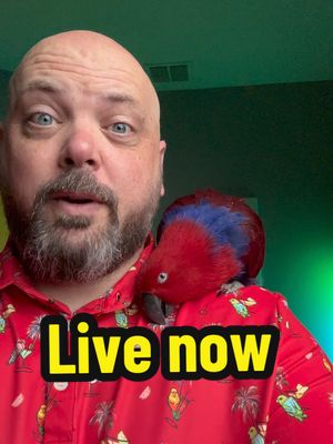 A post by @blueplanetpets on TikTok caption: Live right now to say goodbye on my backup @Zeb 