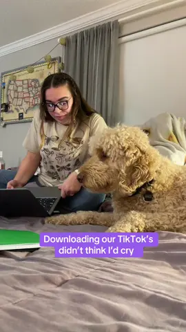 A post by @kirsten_deluka on TikTok caption: Beond thankful for everyone who’s been on this 5year TikTok journey ❤️💔#servicedogapollo 