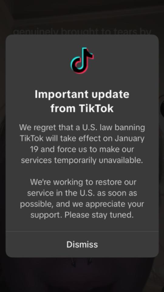 A post by @briikachu on TikTok caption: Welp…guess I should actually make a goodbye video….please no….10 years of my life are just going to be gone… #tiktokban #goodbye #endoftheworld 