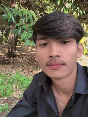 A post by @leng7555 on TikTok caption: #បាត់ដំបងចំការធូរេន🌲