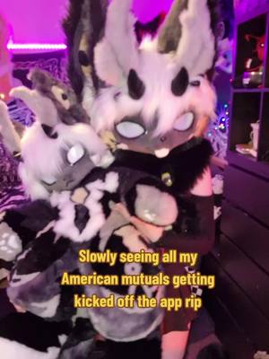 A post by @baileystarpup on TikTok caption: America is so fucked #ukfurry #scottishfursuiter #Scottishfurry #fursuit #furry #furryfandom #furrytiktok #kemonofursuit 