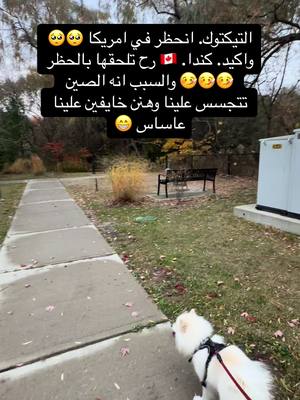 A post by @divastar70 on TikTok caption: #حظر_التيكتوك_في_امريكا#ترند_الاصدقاء🥺🤍 #حمصيه_يا_عفو_الله🎶😌😍 