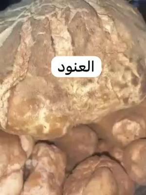 A post by @al_3nood6 on TikTok