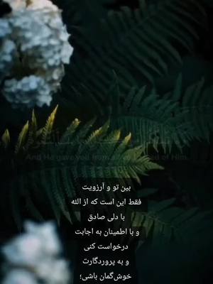 A post by @sayeedwahedi on TikTok caption: #quranverses #islamic_video #quran_alkarim #sayeedwahedi 