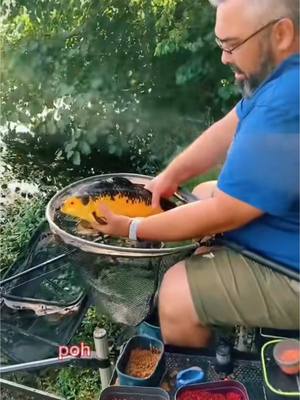 A post by @fish_fun on TikTok caption: Écoutez bien ce qu’il vous dis 🧐 c’est intéressant 😇 #poisson #peche #pecheur #live #koi 