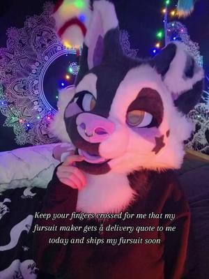 A post by @baileystarpup on TikTok caption: pls I am having such horrific tooth pain while waiting for appointments and could really do with the bodysuit arriving to help me push some of my extremely dark thoughts to the back of my mind  #ukfurry #scottishfurry #puppy #fursuit #furry #puppyfursuit #furrytiktok 