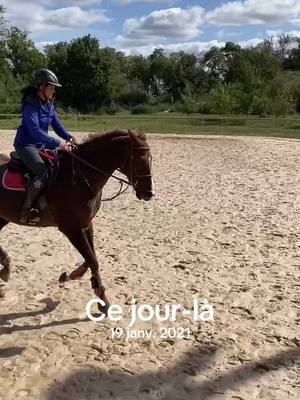 A post by @alexcapricorne on TikTok caption: #cejour-là 