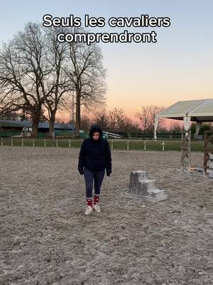 A post by @entresesoreilles on TikTok caption: ☃️❄️ #entresesoreilles #cheval #equitation #humour #juliaetgoldie #juliaetgore #ecurie #videocheval #equitationvideo 