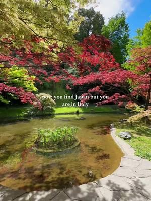 A post by @marcoandflo on TikTok caption: pov: you find Japan but you are in Italy 💖 #LagodiComo #ComoLake #LakeComo #Italia #Italy 