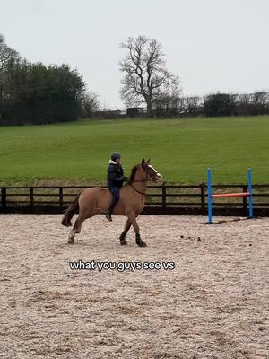 A post by @libbypartridge.equine on TikTok caption: love this 