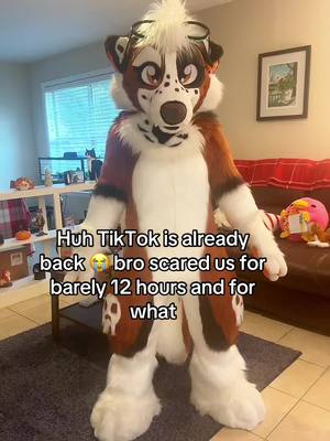 A post by @reddpawz on TikTok caption: We’re so back pookies?? #furry #fursona #fursuit #fursuiter #furryfandom #furrytiktok #fyp #fypシ #trending 