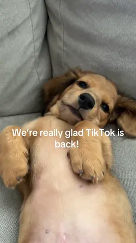 A post by @arrowsmiths on TikTok caption: Was the emotional rollercoaster necessary?!  #tiktokviral #fyp