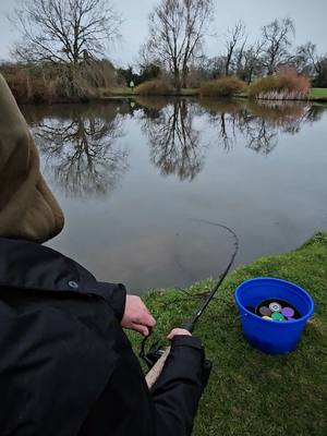 A post by @danglingdays on TikTok caption: CARP ON!!! Great day out with Mark and Josh, over 70 bites!!  @Hinders Bait #carp #feeder #feederfishing #fishing #fishing #hindersbait #tuttifrutti 