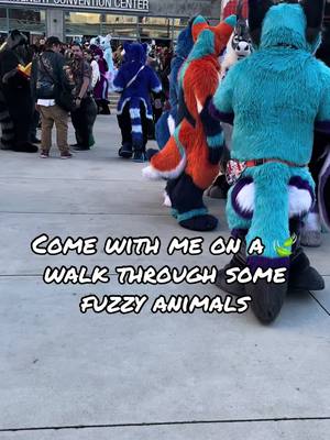 A post by @felixthecalico on TikTok caption: This is probably my absolute favorite part of any convention! #furry #furryfandom #furrycommunity #fc #furcon #furtherconfusion #fc2025 #furcon2025 #furtherconfusion2025 #furrycon #furryconvention #fursuit #fursuits #fursuitmaker #fursuiters #fursuiting 