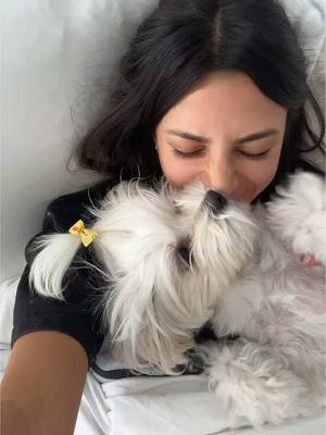 A post by @paulyyxo on TikTok caption: Sunday snuggles 🥺