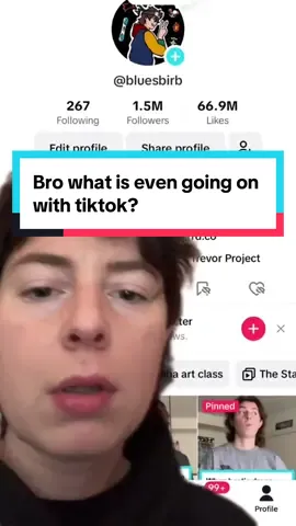 A post by @bluesbirb on TikTok caption: 🫶🫶  