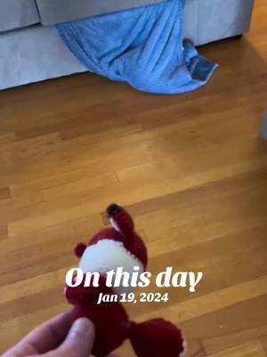 A post by @beduthefox on TikTok caption: #onthisday 