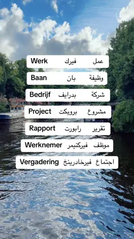 A post by @raymonddillmanalv on TikTok caption: #تعليم_اللغة_الهولندية #للمبتدئين #نتعلم_معاً #كل_يوم_جملة #الشعب_الصيني_ماله_حل😂😂 #اكسبلور #هولندا #امستردام 