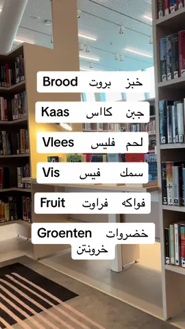 A post by @raymonddillmanalv on TikTok caption: #تعليم_اللغة_الهولندية #للمبتدئين #نتعلم_معاً #كل_يوم_جملة #الشعب_الصيني_ماله_حل😂😂 #اكسبلور #هولندا #امستردام 