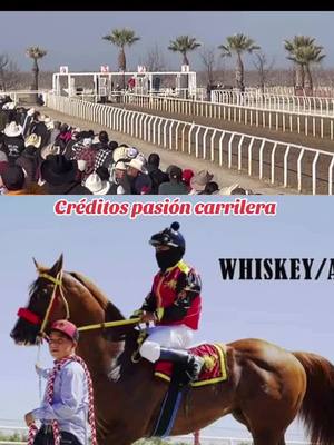 A post by @3pasioncarrererazacatec2 on TikTok caption: #carrerasdecaballos❤️😍🐎🥇🏆🎖 #cuadracristorey🔰🏆 #cuadracantereros⚫️⚪️ #ruidosodownsracestrack🏇❤🏇❤🏇🏇🏇🏇 #quematierras #cuadrasierrabrava🏇🇲🇽💥 