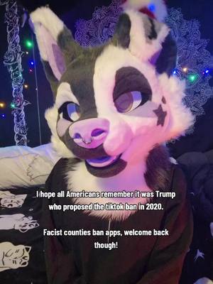 A post by @baileystarpup on TikTok caption: Glad to have you back but reminder the person that "stopped this" caused this to happen  #tiktokban #furrytiktok #puppyfursuit #furry #fursuit #puppy #scottishfurry #ukfurry 