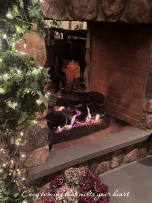 A post by @evesbulldogs on TikTok caption: Cozy evening that melts your heart and brings peace to your soul ❤️#MrBanx #magical #cozy #fireplace #fyp 