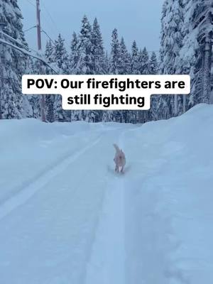 A post by @fenixlumiere on TikTok caption: Just like my bouncy butt, our Fire Fighters🧯just don’t quit. They keep going. They are still fighting. After all this time. After 10 days 😭 Thank you to every Fire Fighter and every worker doing the impossible right now. We see you. We honor you. We love you. All 💰 from this video will go to the @cafirefound. It’s not much. But for every 100,000 views Instagram gives us about $10. Feel free to just watch this video on repeat?! Who can watch it the most?!🤣 Every view means more 💰 to the @cafirefound — The California Fire Foundation, a non-profit 501 (c)(3) organization, provides emotional and financial assistance to families of fallen firefighters, firefighters and the communities they protect. Keep going everyone. Keep donating. Keep caring for your friends and family. Keep going the extra mile. Together… we are still standing. Love 🐾 #YourHappyCoach, Fenix xoxoxoxo We love you. Fenix and Zoë 🤗 @drzoelumiere #palisadesfire #eatonfire #socalfires #lafires #californiafirefighter @californiafirefighter