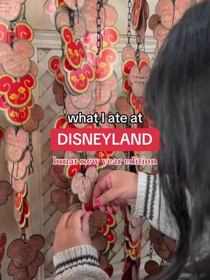 A post by @tranganhdong on TikTok caption: back for now? who knows. enjoying my first amendment rights while i can i guess #tranganhdong #disneyland #lunarnewyear 