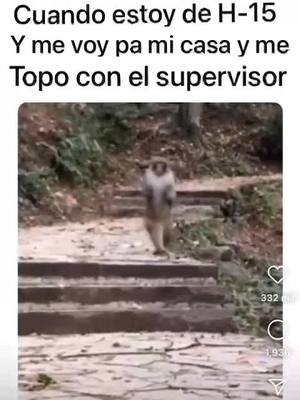 A post by @el_negro0799 on TikTok caption: #parati #viral #policia #policianacional 