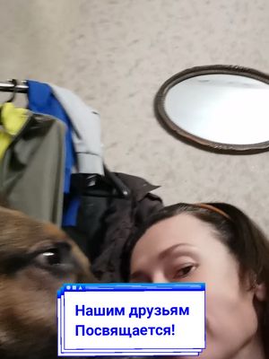 A post by @allagerd on TikTok caption: Друзья навсегда! 