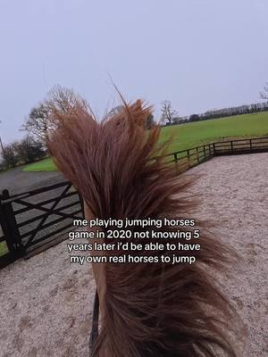 A post by @libbypartridge.equine on TikTok caption: why is this so satisfying 