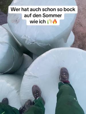 A post by @.leon_agrar on TikTok caption: Wer freut sich auch schon auf den Sommer wie ich? 🌾🇩🇪💥                             #fy #sunsets #trecker #tractor #fendt #newholland #sommer #Summer 