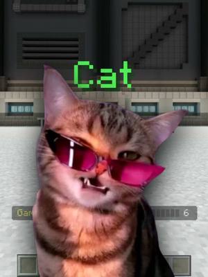 A post by @misterbuildy on TikTok caption: Cat 💅 #minecraftmemes #buildbattle 