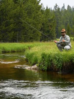 A post by @venturesflyco on TikTok caption: Why do fish reject your flies? 🤔 We know presentation matters, but there's gotta be more to it than that, right? Fly selection has to play a role. And what about the color of the fly? Does that matter? Well, a lot of these questions can be answered by looking at the world through a trout's point of view. Virtual reality doesn't have us there quite yet, but this week's episode of Untangled is the closest you'll come to seeing flies through a trout's eye. You'll learn all about what colors trout see, whether color matters, how well they see your flies, and most importantly, how to use this information to put more fish in the net. 🐟 Check out the link in our bio to watch the entire podcast episode! How Trout See Your Flies & What To Do About It | Ep. 111 (Untangled: Fly Fishing For Everyone) #flyfishing #flyfishingnation #flyfishingtiktok #flyfishinglife #flyfishingtrout #flyfishingaddict #flyfishingcheck #flyfishingtips #flyfishingbass #venturesflyco #TeamVFC #livereellife #beginnerflyfishing #howtoflyfish #flytying #flytyingjunkie #flytyingaddict #flytyingtutorial #flytyingvideo #flytyingnation #flytyingphotography #flytyingtiktok #flyfishinggear