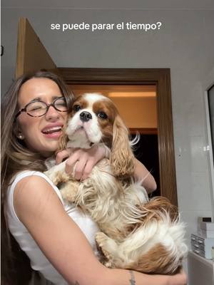 A post by @lidiiarauet on TikTok caption: El amor de mi vida en forma caninaaaaa, mi bebé, te amooooo!!!!!!