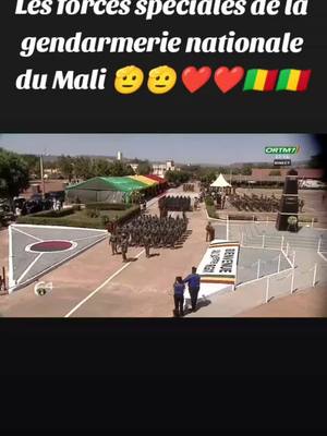 A post by @b.a.k.a.r.y on TikTok caption: #cejour-là #senegalaise_tik_tok #tiktokmali🇲🇱223 #223🇲🇱 #aes 