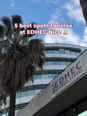 A post by @edhec_businessschool on TikTok caption: We're voting for the terrace. What about you? 😉 #EDHEC #businessschool #relax 