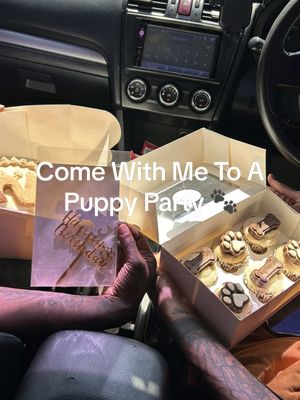 A post by @zaneaaaliyah on TikTok caption: Come With Me To A Puppy Party 🥂🐾. #zaneaaaliyah #jamaicatiktok #fypシ #dogbirthdayparty   @meddiibb 