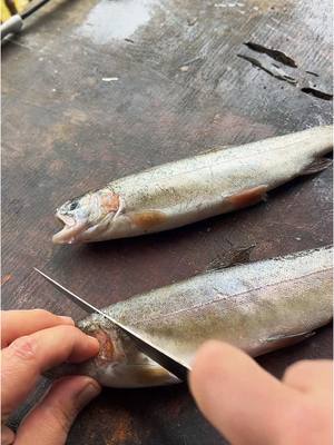 A post by @wadefishez on TikTok caption: Normal person food #fyp #catchcleanandcook #beardedfisherman #fishing #fish 