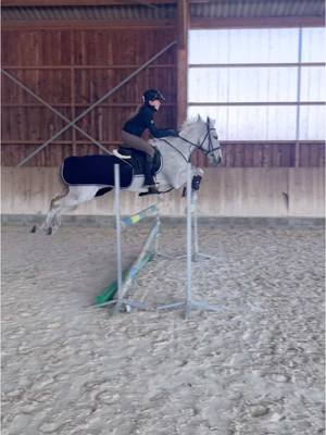 A post by @majollyjumper on TikTok caption: Je ne m’y attendais pas 😵‍💫 #equitation #horse #jeunecheval #connemarapony #jumping #cavaliere #equestrianlifestyle #horses 