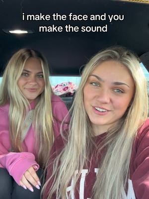 A post by @arianalee99 on TikTok caption: I think we did pretty good 😂 @analeese 