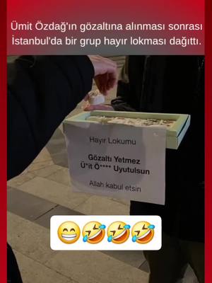 A post by @sevdalisi.61 on TikTok caption: #rte #turkislambekcileri #receptayyiperdoğan 