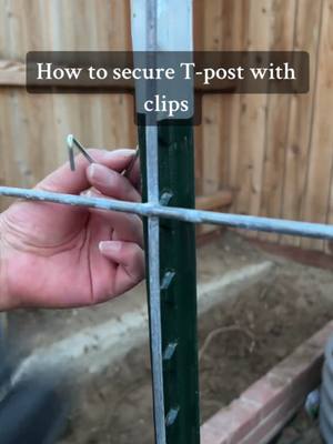 A post by @yadirafromzone9b on TikTok caption: How to secure T-Post clips to cattle panel (in case you wanted a quick and easy tutorial) #gardening #garden #gardenproject #gardening101 #gardentok #gardeninghacks #gardeningtips #homestead #homesteading #homesteadtiktok