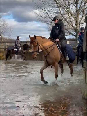 A post by @boydmartin on TikTok caption: The #windurrausa team has been hard at work braving the cold in Pennsylvania building the horses fitness up ahead of the move south. ❄️💪