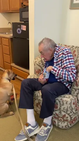 A post by @mikkiraymond on TikTok caption: If you’re our vet please don’t look at how many treats this good boy is eating 