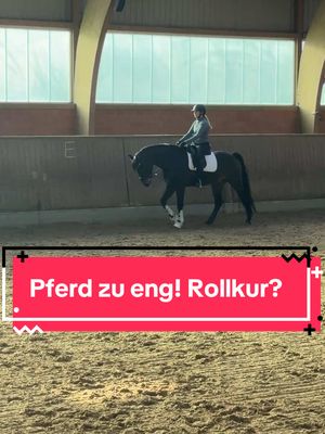 A post by @horsediaries.de on TikTok caption: Lasst ihr euch auch öfter mal filmen. Jeder macht Fehler und das ist gerade eins meiner Hauptthemen, an denen ich arbeite 🫶🏻 nicht immer passiert sowas aus bösem Willen… wie ist das bei euch? Bekommt ihr es immer gut hin, dass eure Pferde nicht zu eng kommen? #dressage #dressurpferd #reitsport 