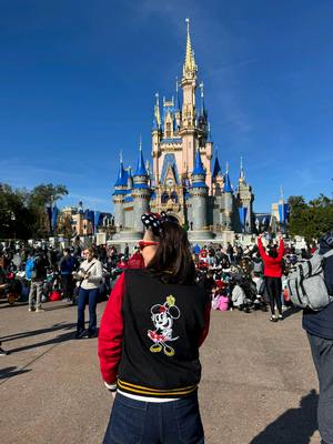 A post by @andreatorreh on TikTok caption: Uno siempre vuelve a donde es feliz 🎡🪄 ✨ El lugar más feliz del mundo: @disneyworld.latino ✨ — #ATH🍄 #andreatorre #disney #disneyworld #disneytrip #disneytravel #disneygram 